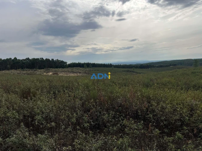 Terreno para Venda em Castelo Branco Foto 6