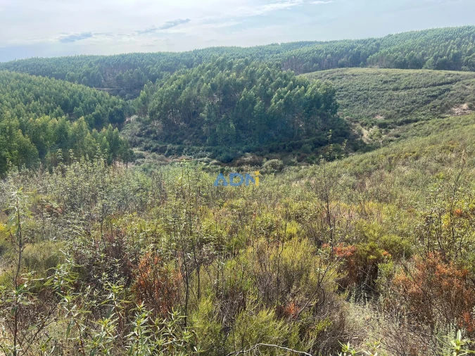 Terreno para Venda em Castelo Branco Foto 35