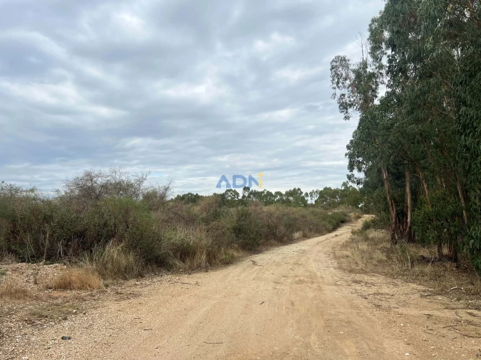 Terreno para Venda em Castelo Branco Foto 10