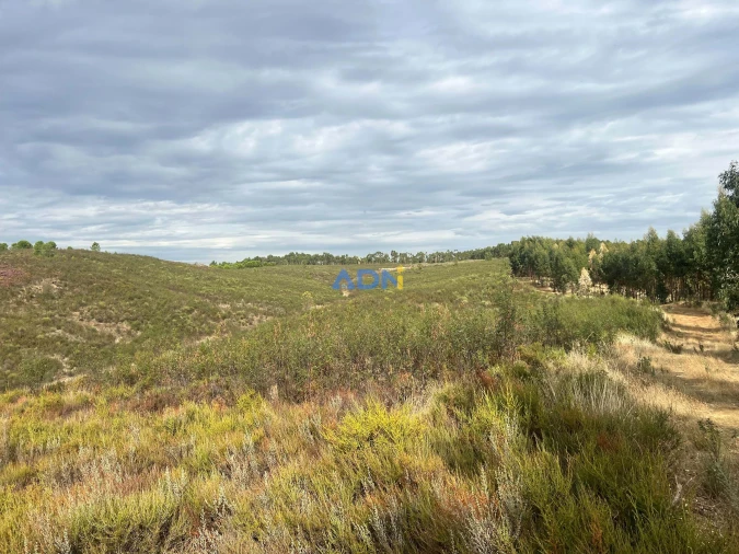 Terreno para Venda em Castelo Branco Foto 28