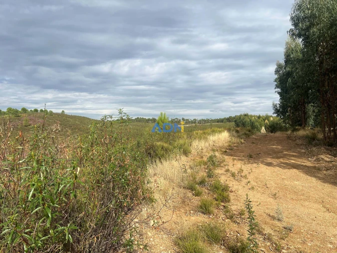 Terreno para Venda em Castelo Branco Foto 30