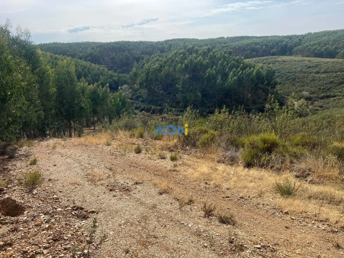 Terreno para Venda em Castelo Branco Foto 36