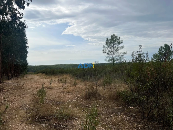 Terreno para Venda em Castelo Branco Foto 11