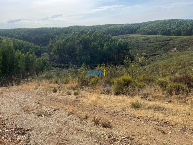 Terreno para Venda em Castelo Branco Foto 37