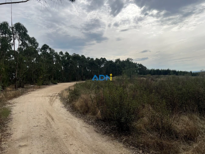 Terreno para Venda em Castelo Branco Foto 1