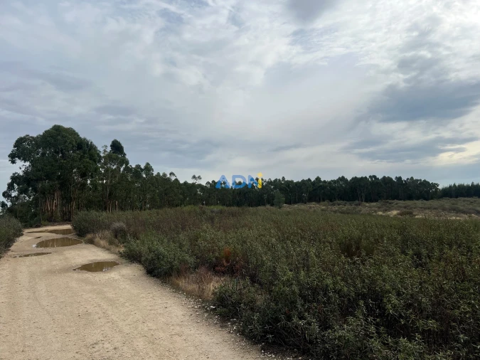 Terreno para Venda em Castelo Branco Foto 4