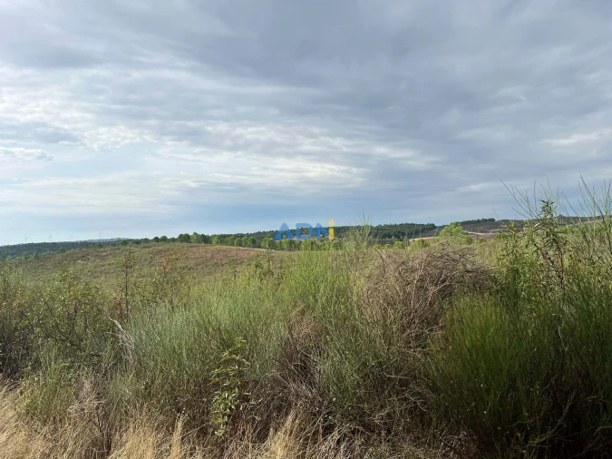 Terreno para Venda em Castelo Branco Foto 13