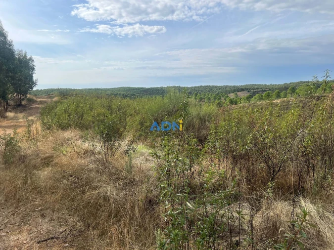 Terreno para Venda em Castelo Branco Foto 21