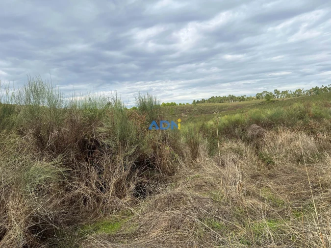 Terreno para Venda em Castelo Branco Foto 17