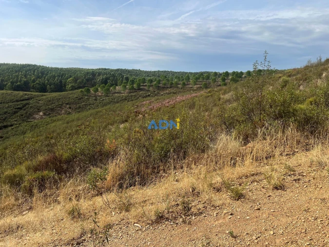 Terreno para Venda em Castelo Branco Foto 39