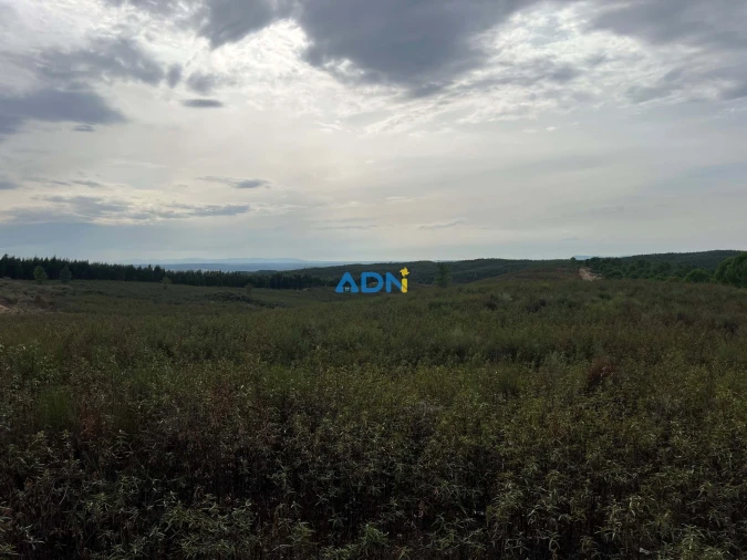 Terreno para Venda em Castelo Branco Foto 5