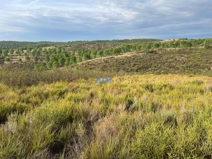Terreno para Venda em Castelo Branco Foto 26