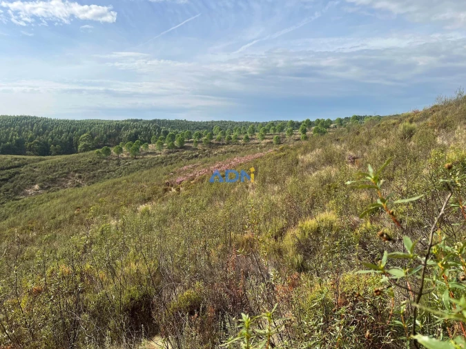 Terreno para Venda em Castelo Branco Foto 34