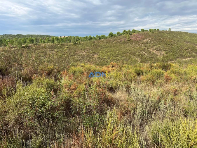 Terreno para Venda em Castelo Branco Foto 24