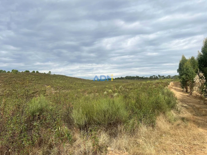 Terreno para Venda em Castelo Branco Foto 20