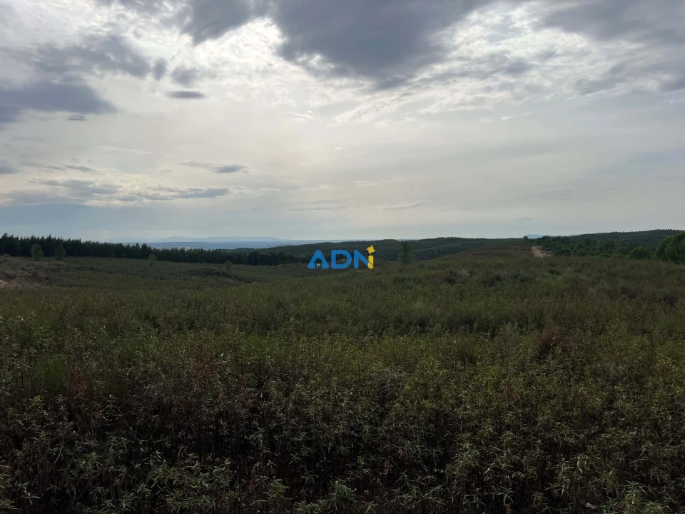 Terreno para Venda em Castelo Branco Foto 5