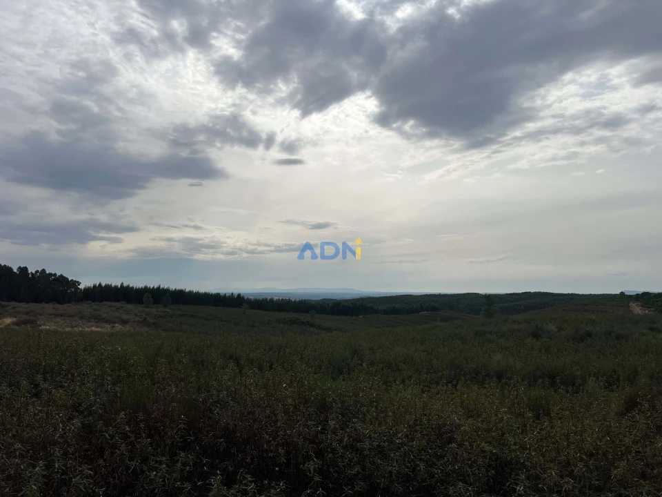 Terreno para Venda em Castelo Branco Foto 3