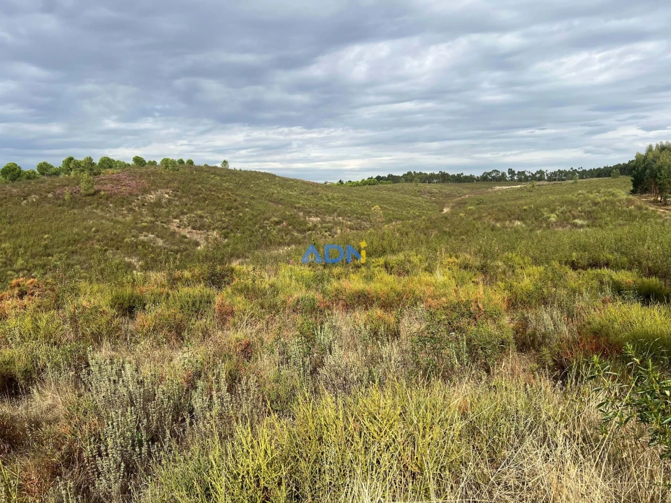 Terreno para Venda em Castelo Branco Foto 23