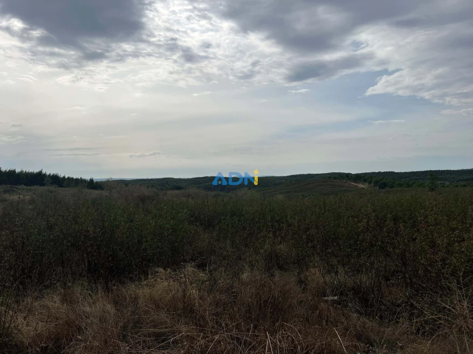Terreno para Venda em Castelo Branco Foto 7