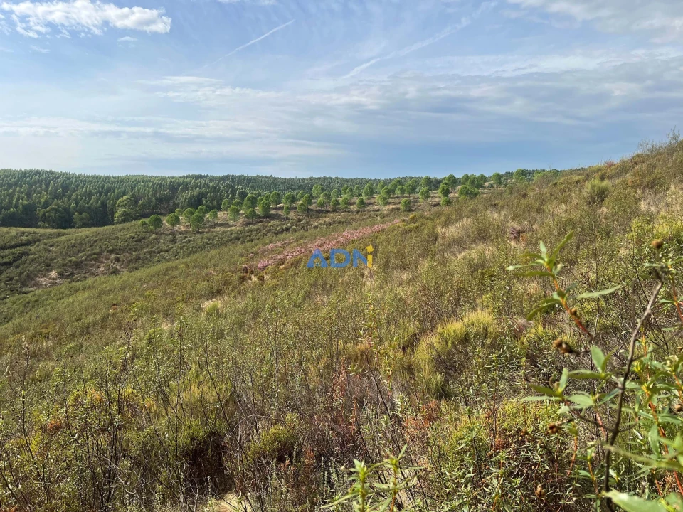 Terreno para Venda em Castelo Branco Foto 34