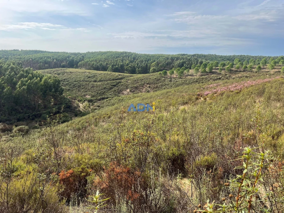 Terreno para Venda em Castelo Branco Foto 33