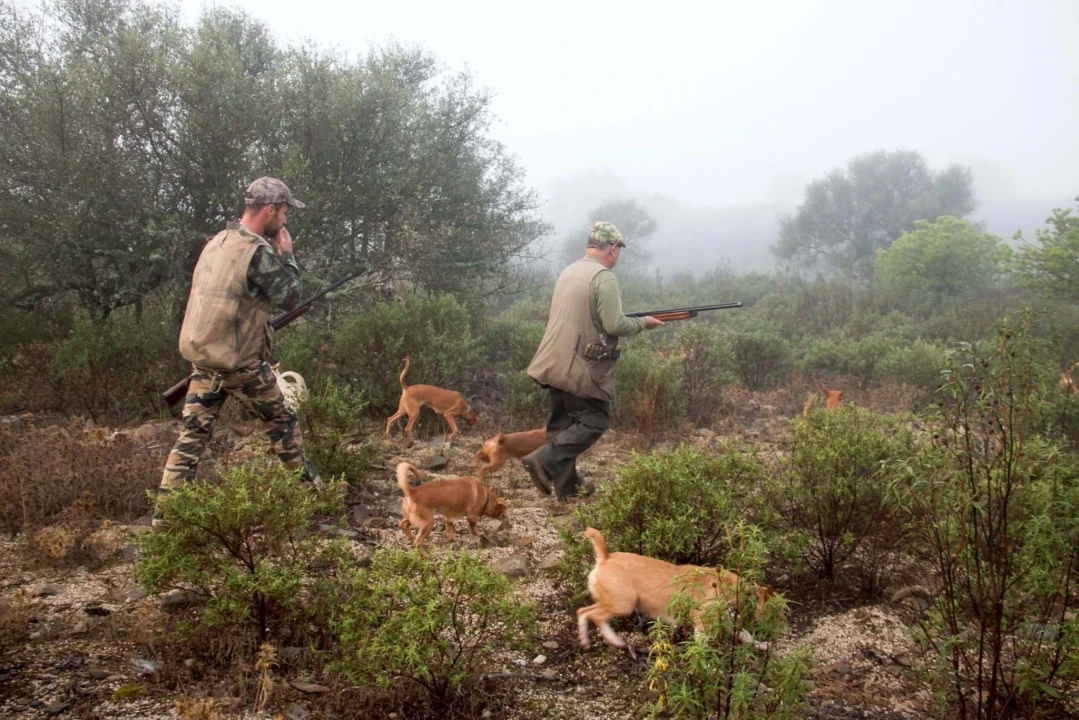 Moradia T2 para Venda em Vila do Bispo e Raposeira Foto 36