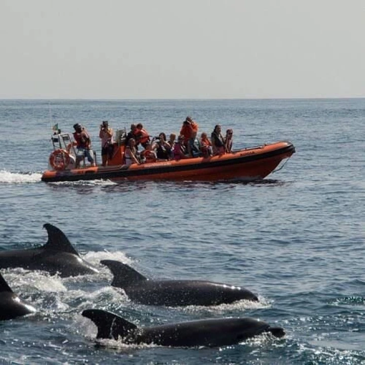 Moradia T2 para Venda em Vila do Bispo e Raposeira Foto 39