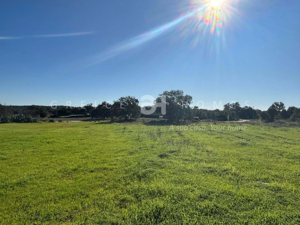Terreno para Venda em São Silvestre Foto 16