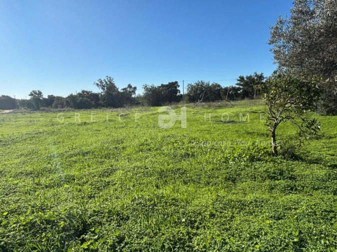 Terreno para Venda em São Silvestre Foto 12