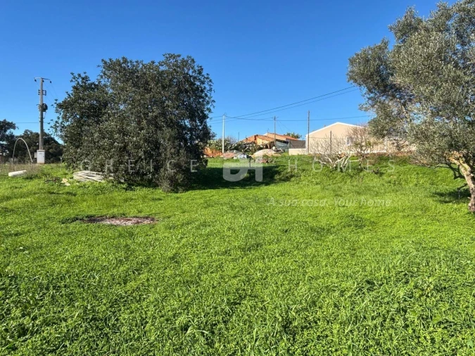 Terreno para Venda em São Silvestre Foto 14