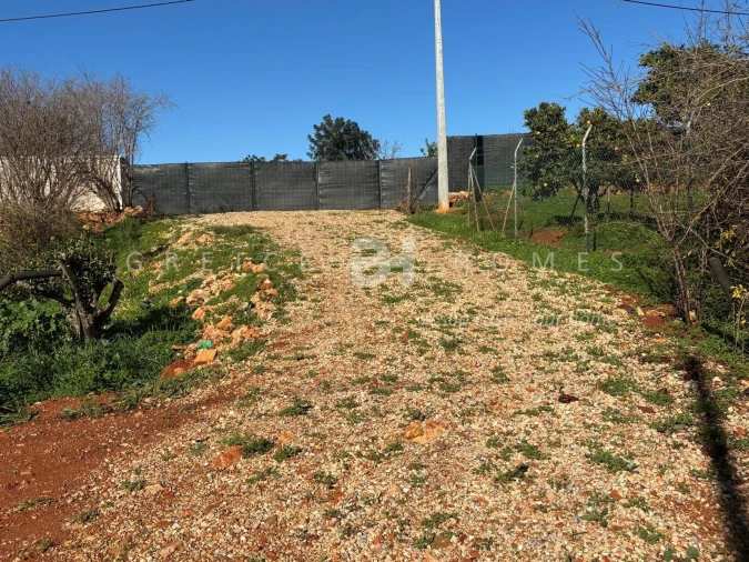 Terreno para Venda em São Silvestre Foto 19