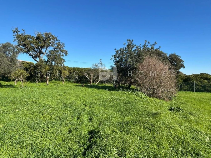 Terreno para Venda em São Silvestre Foto 17