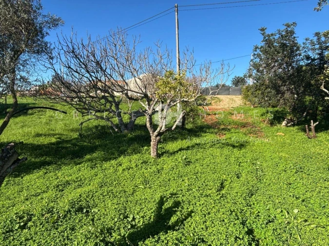 Terreno para Venda em São Silvestre