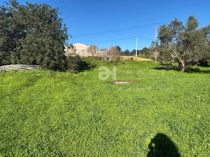 Terreno para Venda em São Silvestre Foto 15