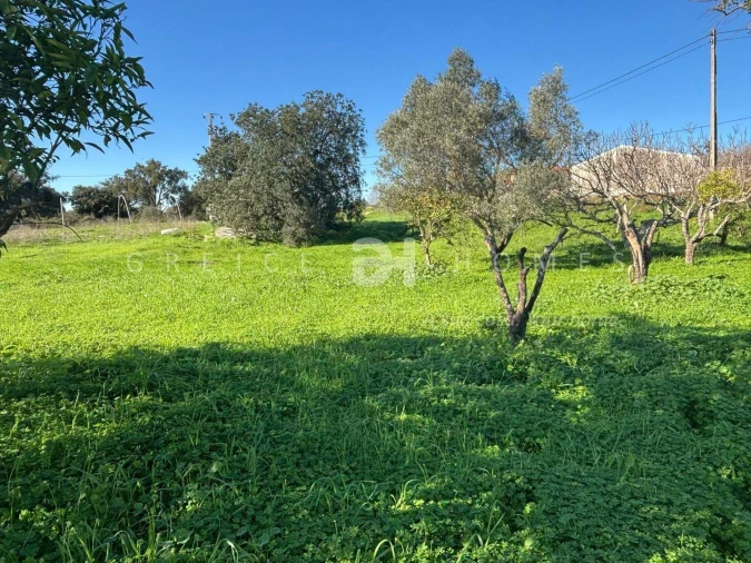 Terreno para Venda em São Silvestre Foto 11