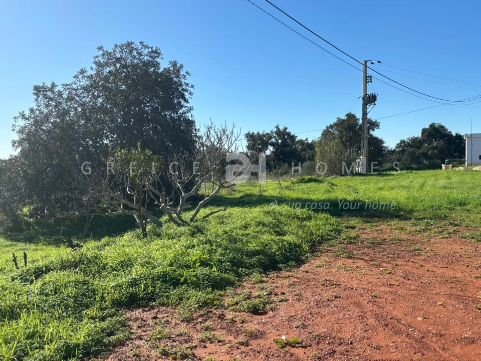 Terreno para Venda em São Silvestre Foto 5