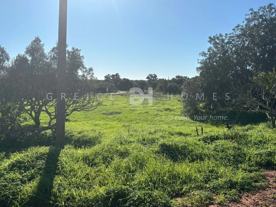 Terreno para Venda em São Silvestre Foto 6