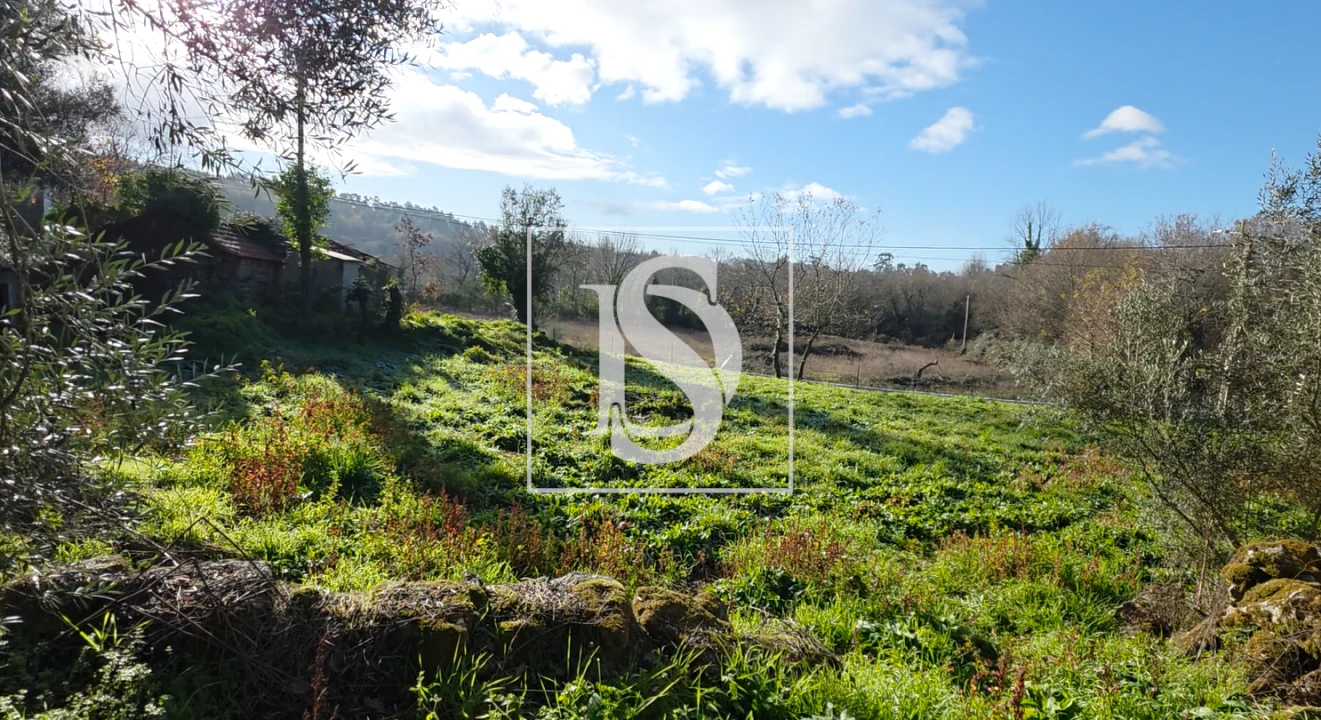 Terreno para Venda em Ribeiros Foto 2