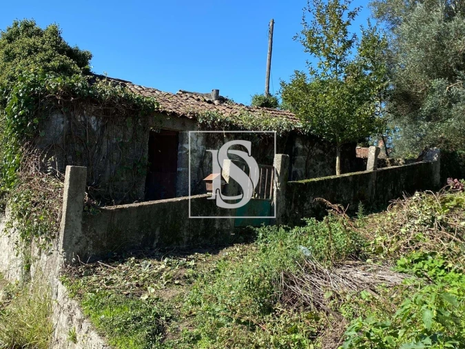 Terreno para Venda em Ribeiros Foto 7