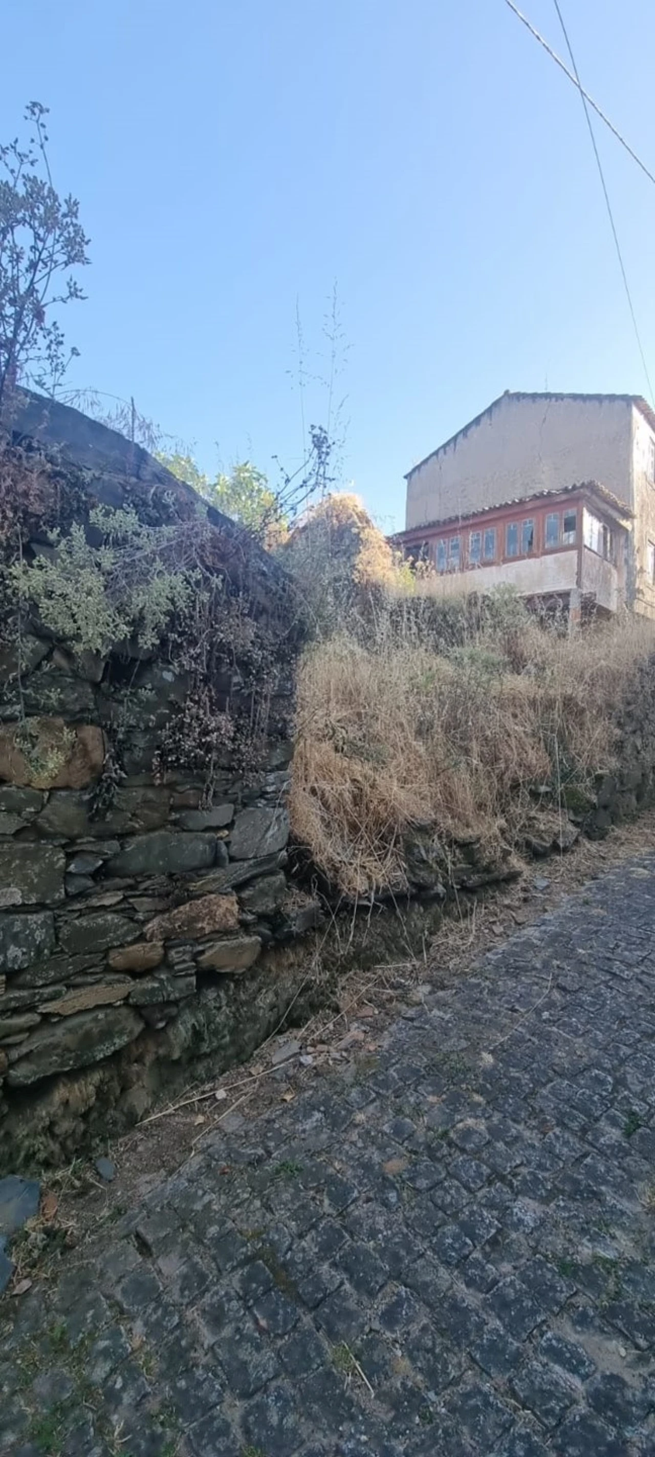 Terreno para Venda em Gois Foto 10