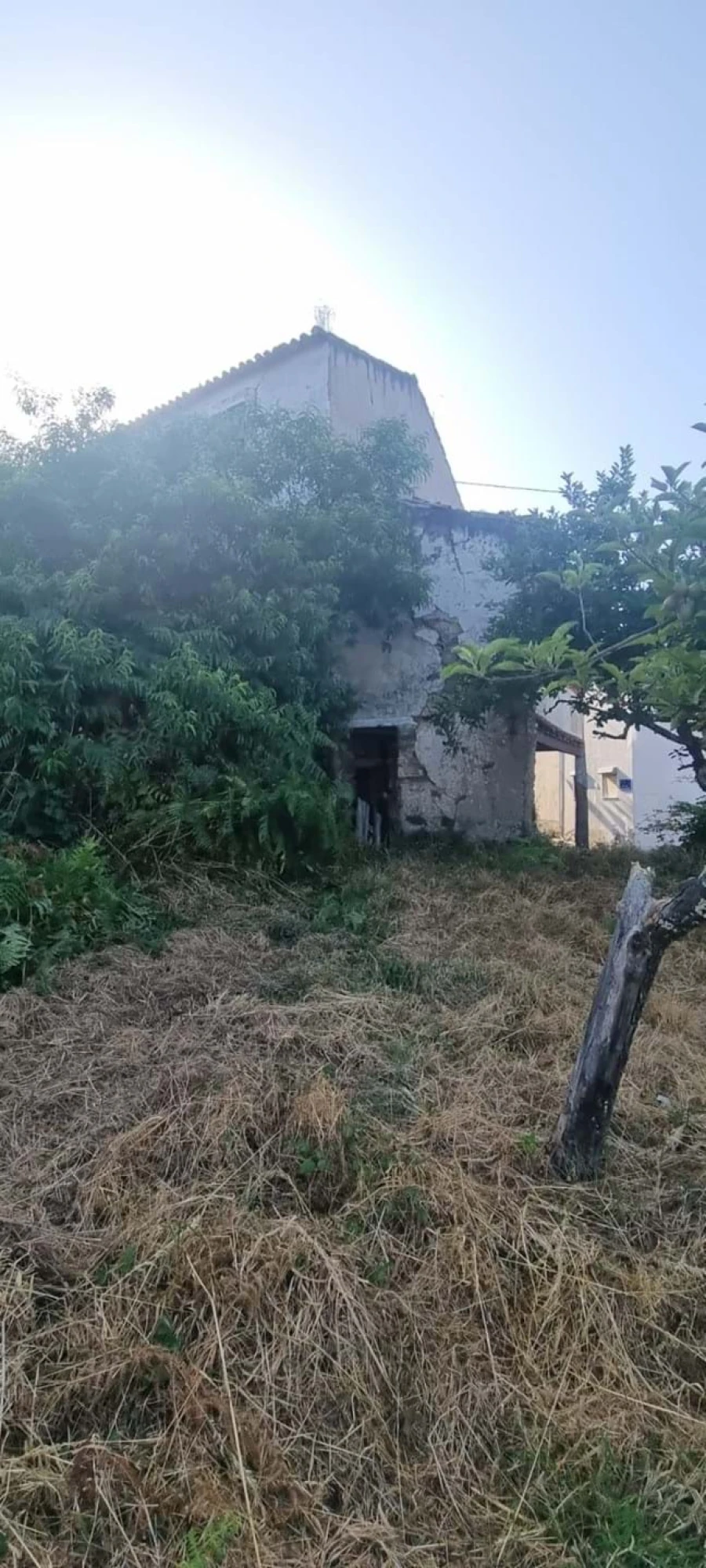 Terreno para Venda em Gois Foto 11