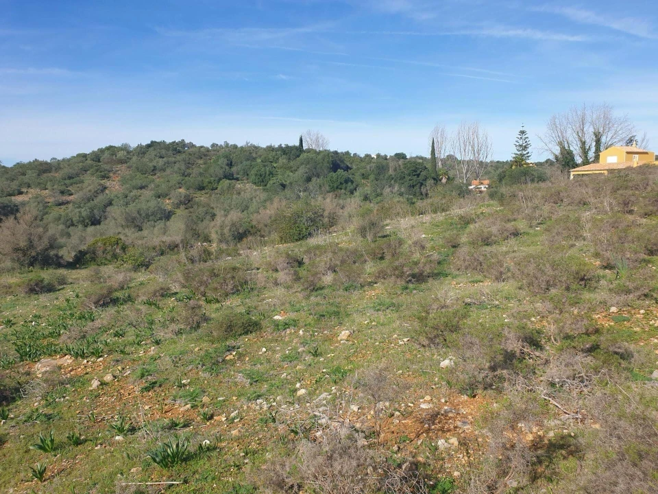 Terreno para Venda em São Silvestre Foto 4