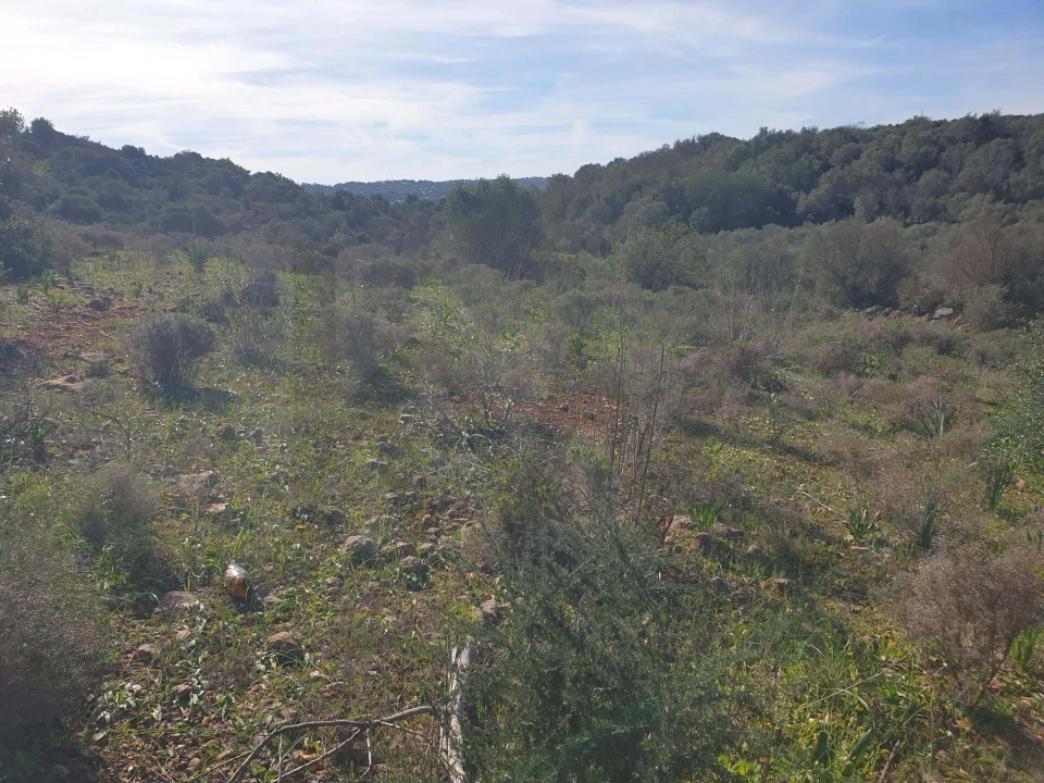 Terreno para Venda em São Silvestre Foto 6