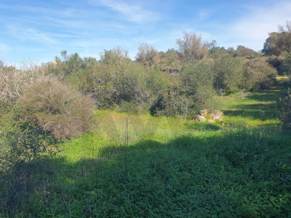 Terreno para Venda em São Silvestre Foto 11