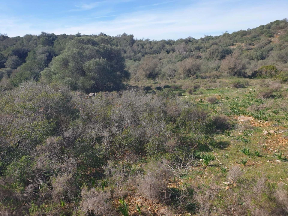 Terreno para Venda em São Silvestre Foto 2