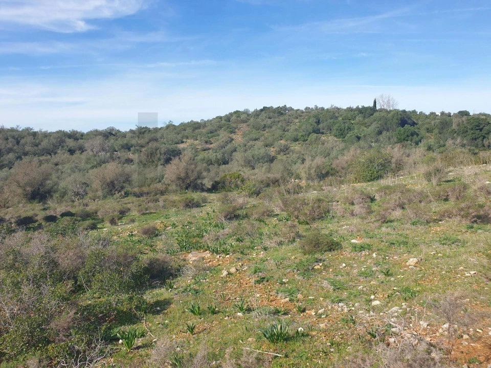 Terreno para Venda em São Silvestre Foto 3