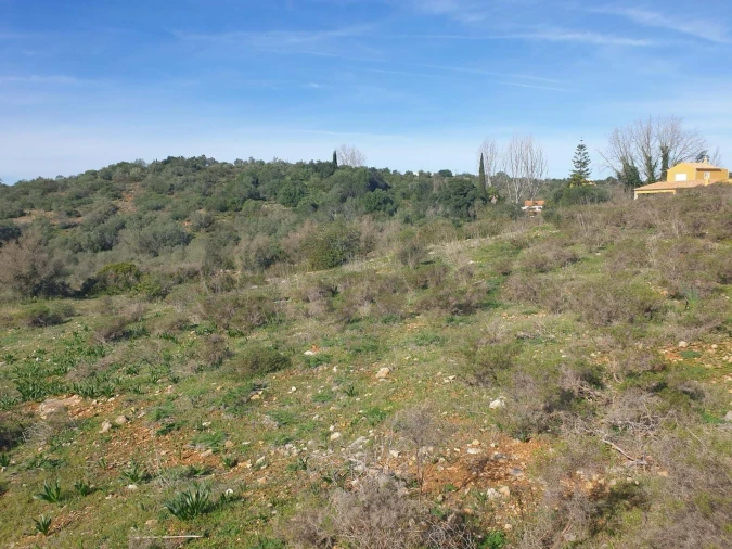 Terreno para Venda em São Silvestre Foto 4