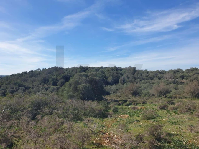 Terreno para Venda em São Silvestre Foto 5