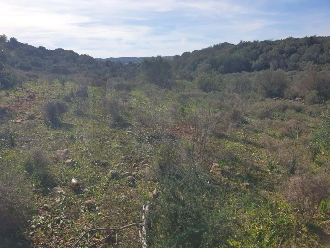 Terreno para Venda em São Silvestre Foto 6