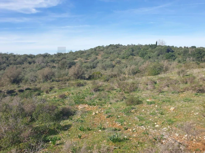 Terreno para Venda em São Silvestre Foto 3